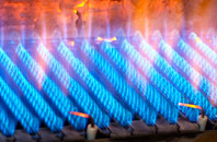 Ruisigearraidh gas fired boilers